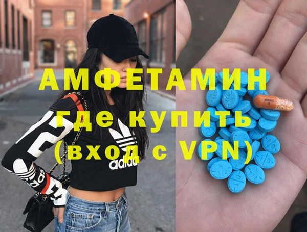 крисы Кулебаки