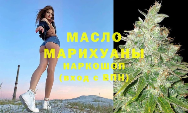 крисы Кулебаки