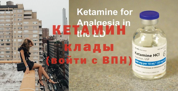 крисы Кулебаки