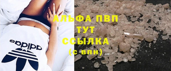 крисы Кулебаки