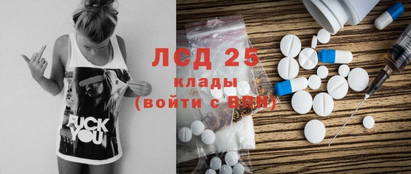 крисы Кулебаки